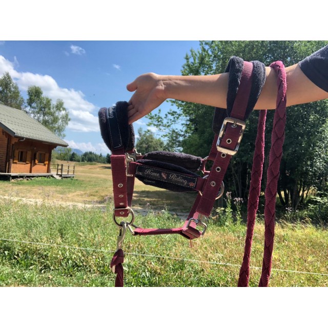 Licol bordeaux