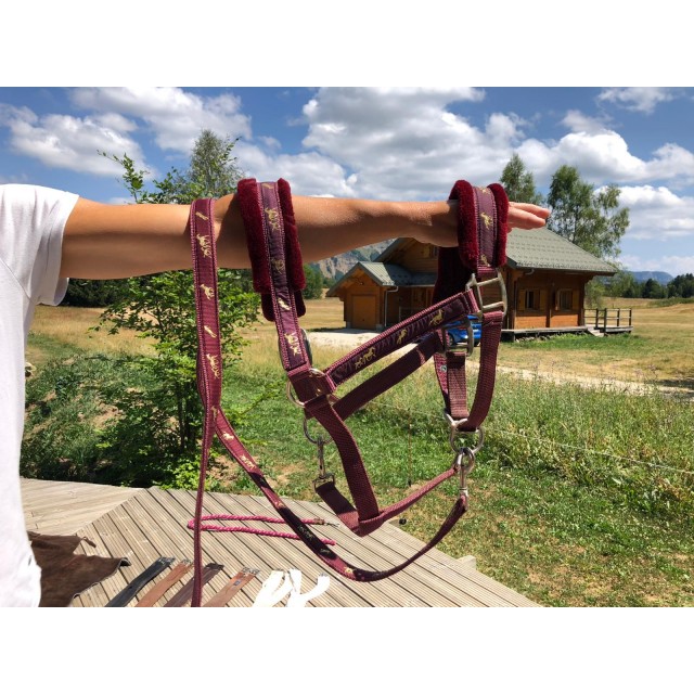Licol + Longe bordeaux