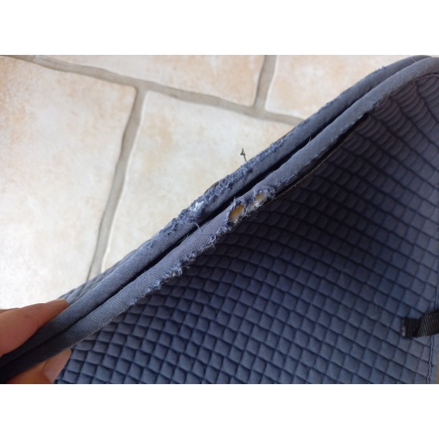 tapis