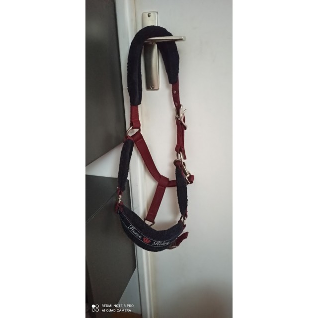 Licol Fouganza Bordeaux taille COB sans longe
