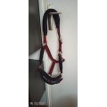 Licol Fouganza Bordeaux taille COB sans longe