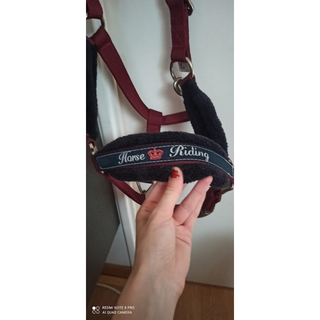 Licol Fouganza Bordeaux taille COB sans longe