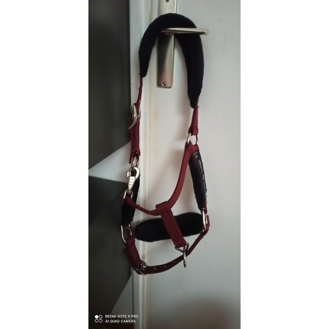 Licol Fouganza Bordeaux taille COB sans longe