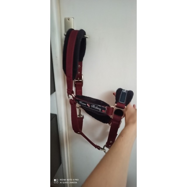 Licol Fouganza Bordeaux taille COB sans longe