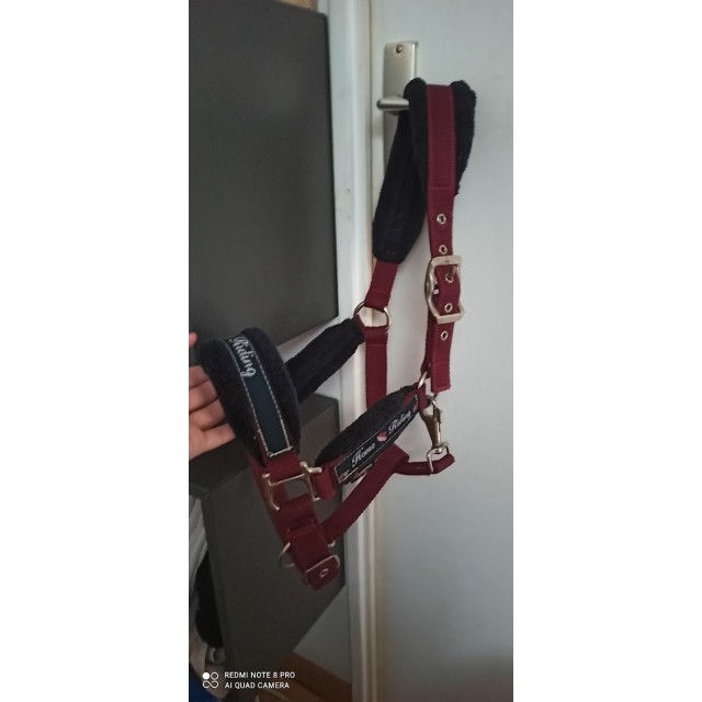 Licol Fouganza Bordeaux taille COB sans longe