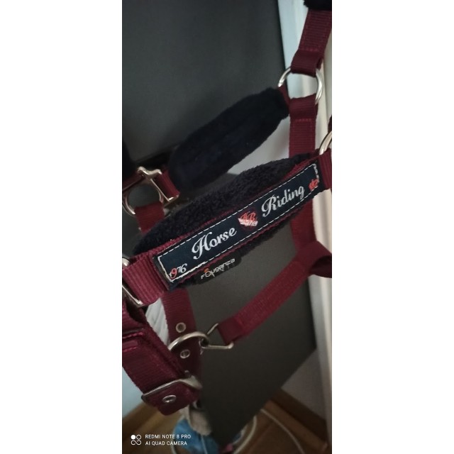 Licol Fouganza Bordeaux taille COB sans longe