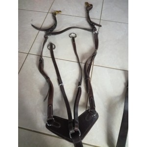 Collier de chasse et martingale CSO