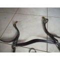 Collier de chasse et martingale CSO