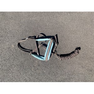 Licol à moumoute choco/ciel