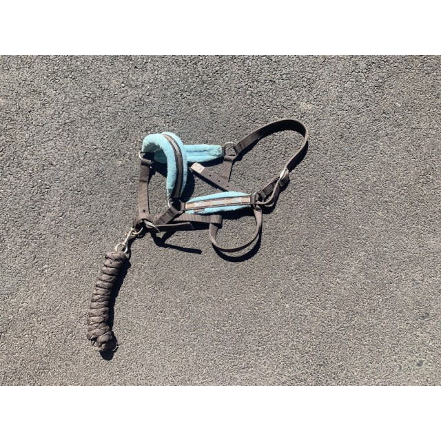 Licol à moumoute choco/ciel