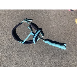 Licol à moumoute bleu