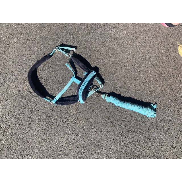 Licol à moumoute bleu