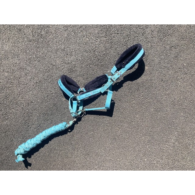 Licol à moumoute bleu