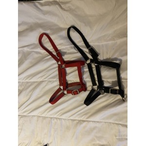 Licol  rouge et noir