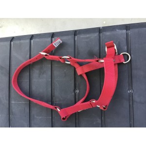 Licol rouge taille shetland