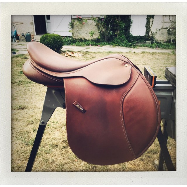 Vends Selle Wintec synthétique marron 17`` pouces
