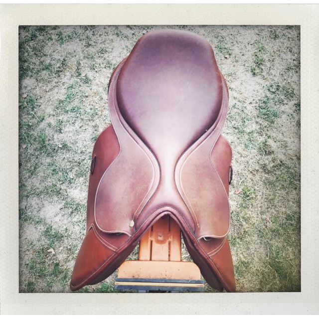 Vends Selle Wintec synthétique marron 17`` pouces
