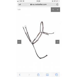 Collier de chasse CWD