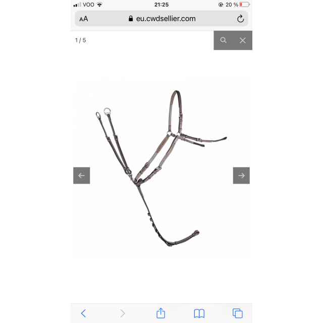 Collier de chasse CWD