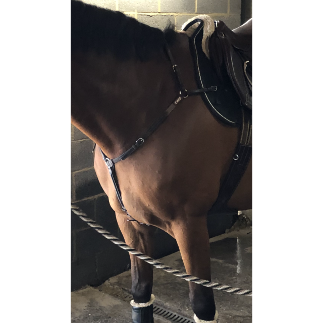 Collier de chasse CWD