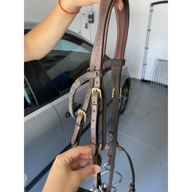 Bridon epona brun