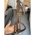 Bridon epona brun