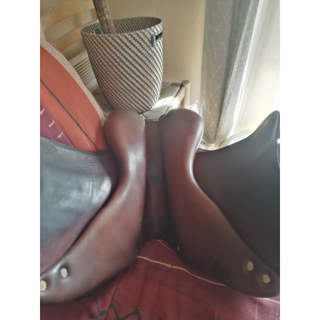 Selle brunet pineau 17