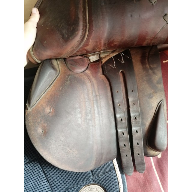 Selle brunet pineau 17