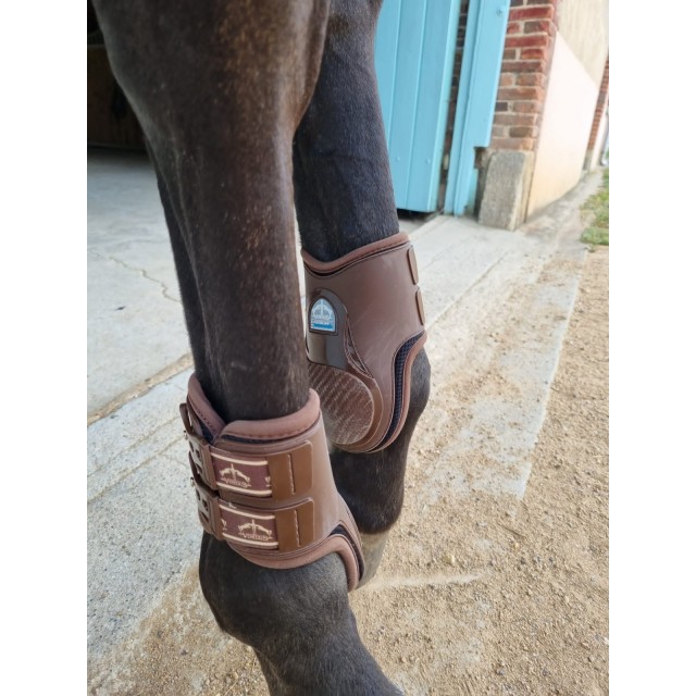 guetre veredus + protège boulet