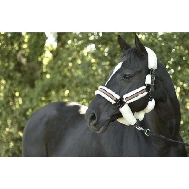 Licol mouton confort Pénélope