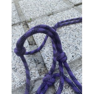 Licol éthologique violet