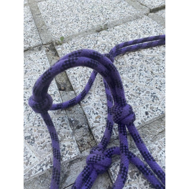 Licol éthologique violet