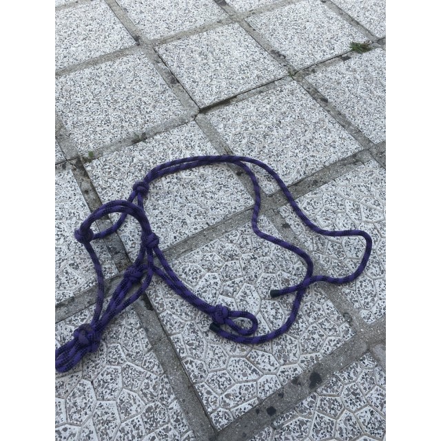 Licol éthologique violet