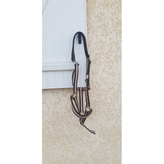 Licol rose et marron