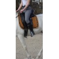 Tapis de dressage la boîte à tapis