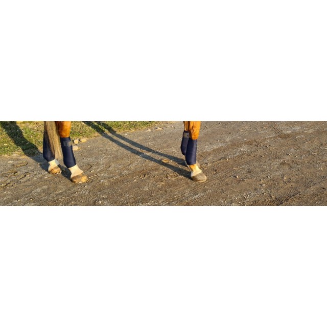 Bande de travail kentucky