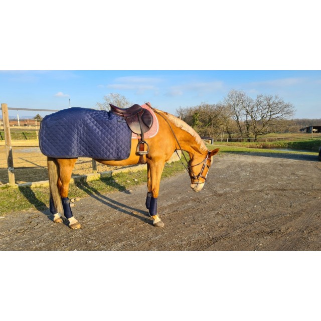 Bande de travail kentucky