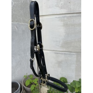 Licol en cuir noir TdeT