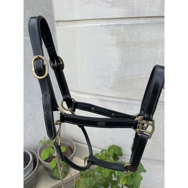 Licol en cuir noir TdeT