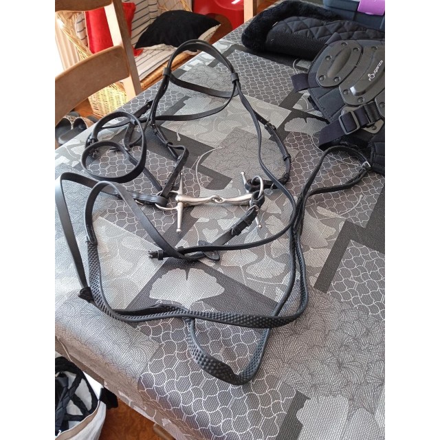 Lot cheval FULL (Fouganza Decathlon)