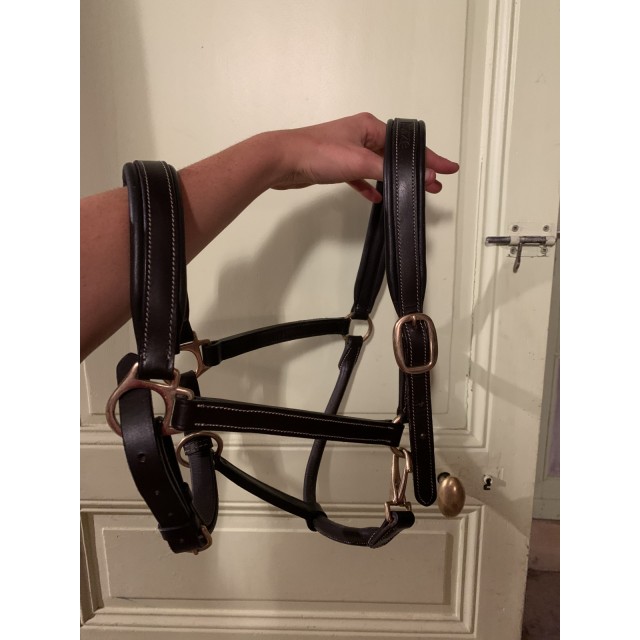 Licol en cuire havane