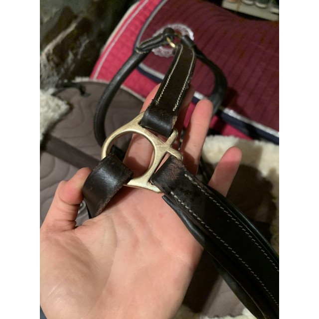 Licol en cuire havane