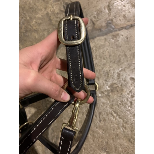 Licol en cuire havane