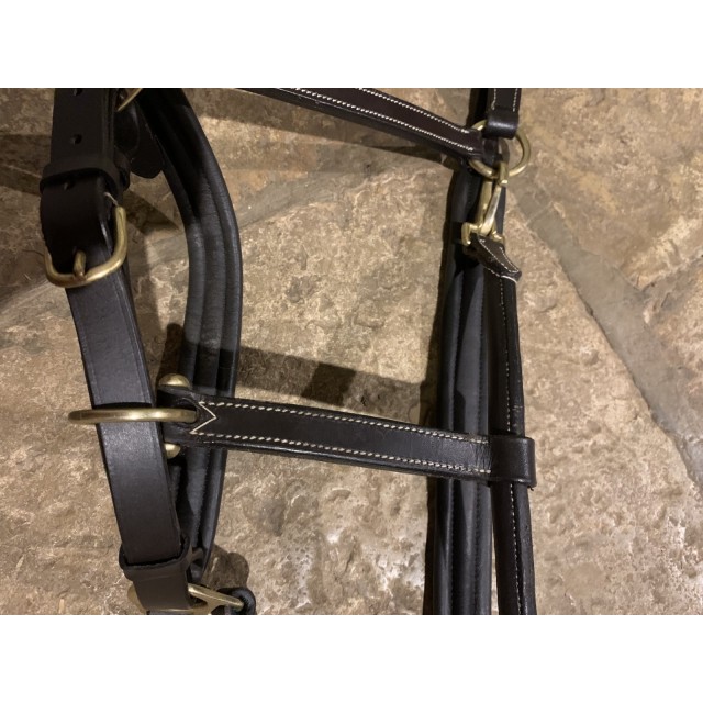 Licol en cuire havane