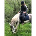 Selle randonnée cheval
