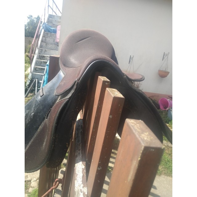 Selle de club