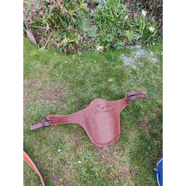 Sangle bavette forestier