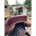 Selle CWD