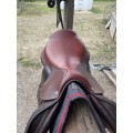 Selle CWD