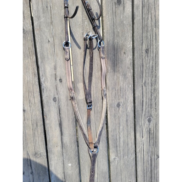Collier de chasse + martingale